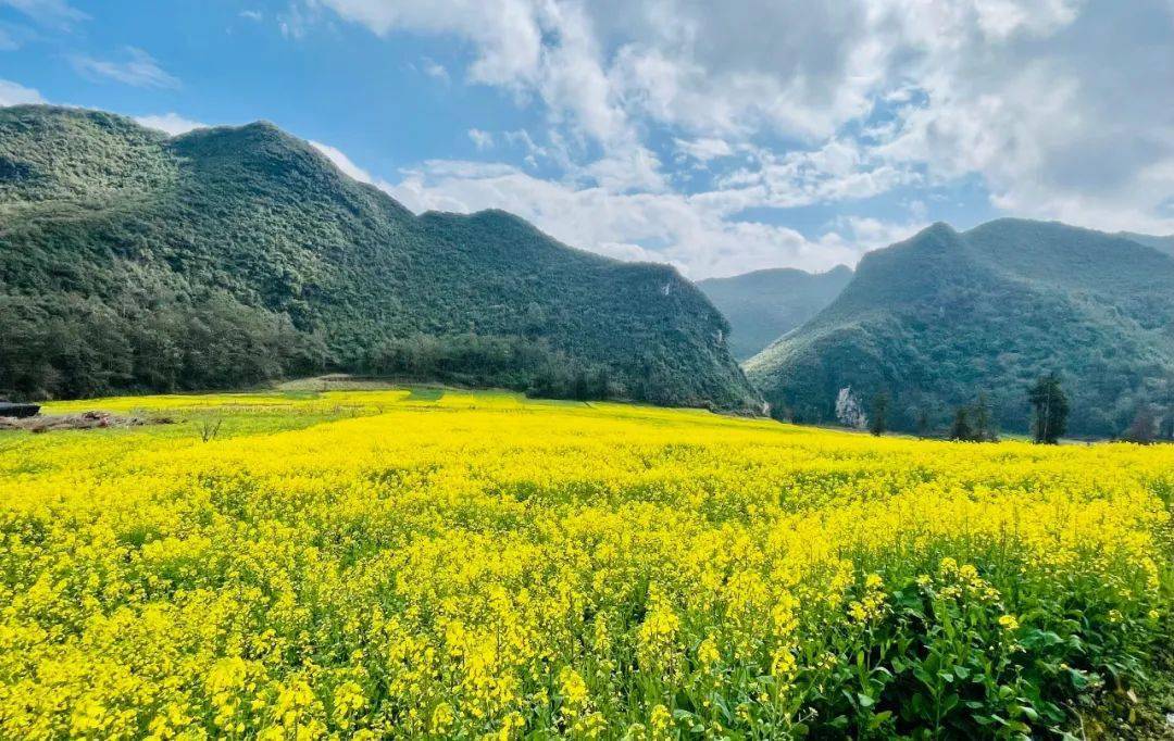 快来文山一览美景_平坝镇_砚山_平地