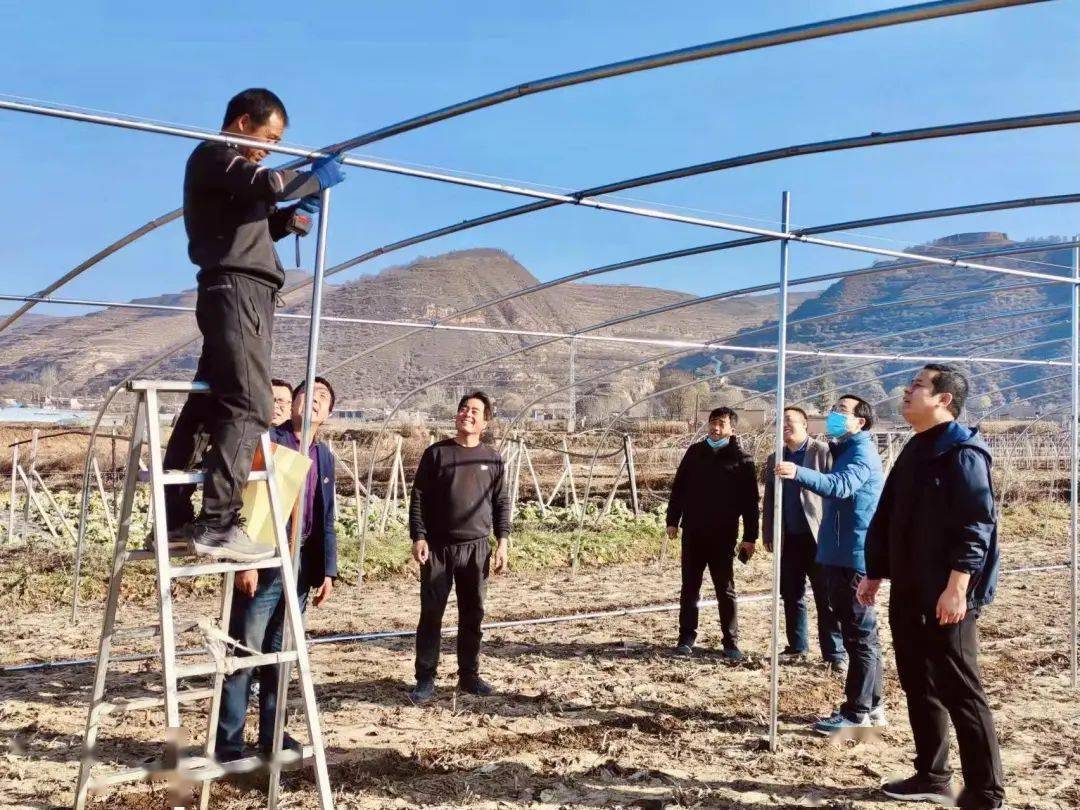 【新春走基层】武山县马力镇余寨村:送走"竹"大棚 "钢
