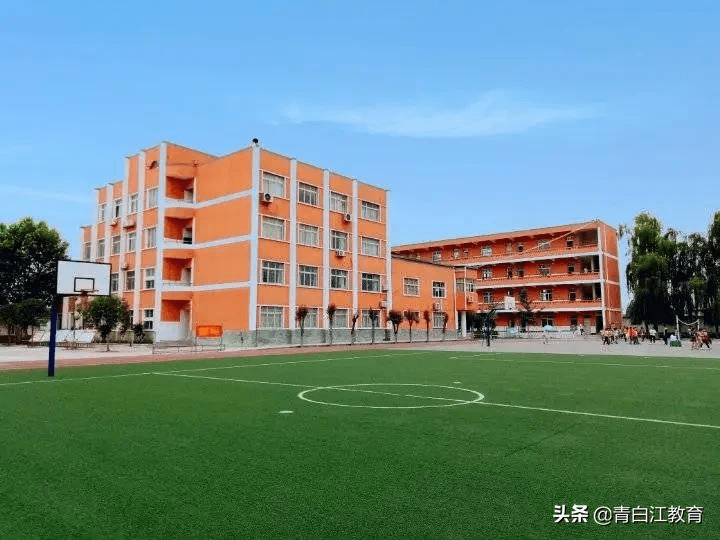 青白江再添4所新优质学校!_课程_小学_义务教育