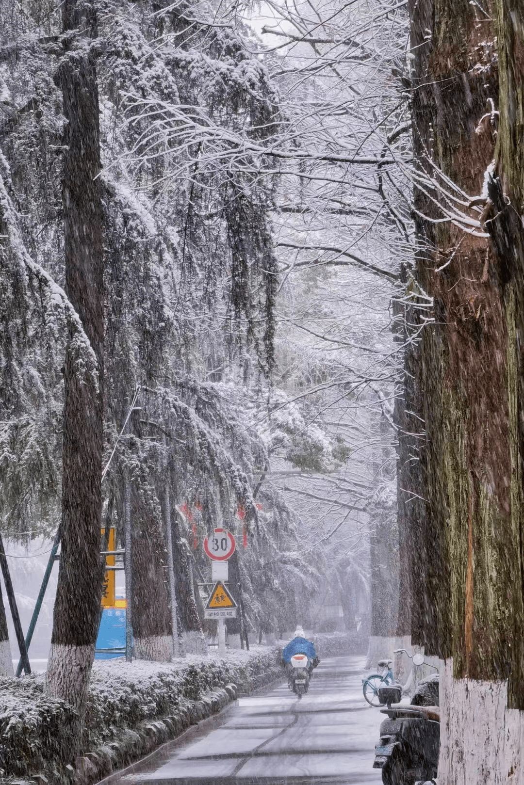 一片!2022年南京第一场大雪来了!附最新出行提醒