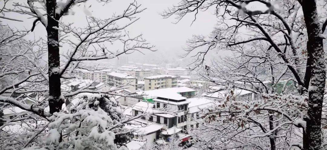 飞雪迎春汉中唯美雪景令人心醉