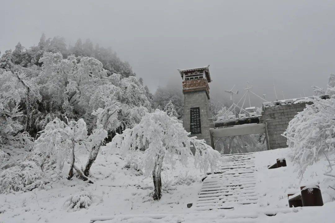 这不,唐家河又下了一场很大的雪.