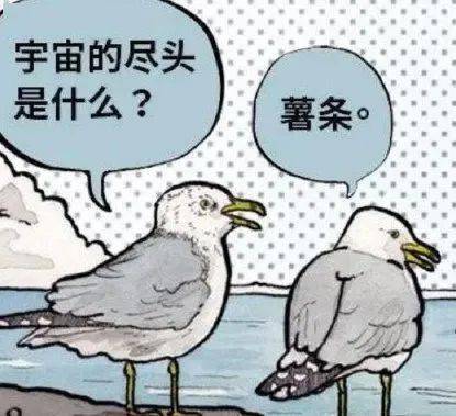 把一只色鸽子捧成了新偶像?_薯条_海鸥_码头