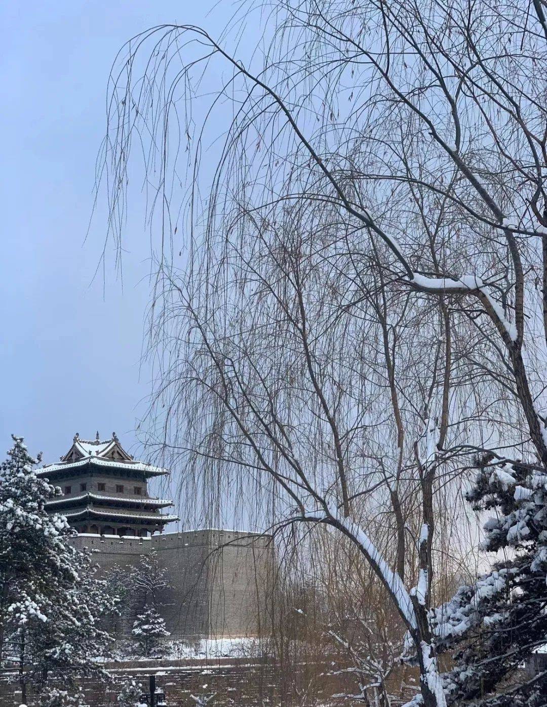 蓝色海洋↓大同雪景↓五台山雪景你看到了吗?