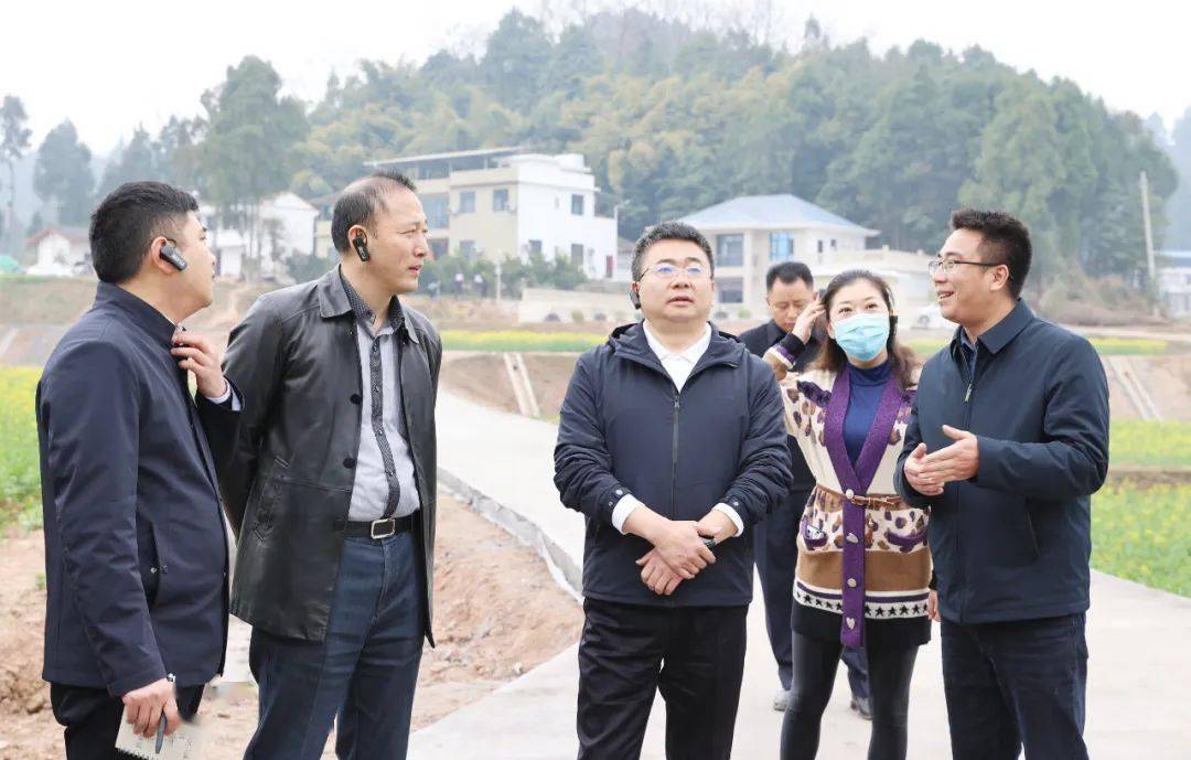 杨波调研首届田园恩阳油菜花节筹备工作