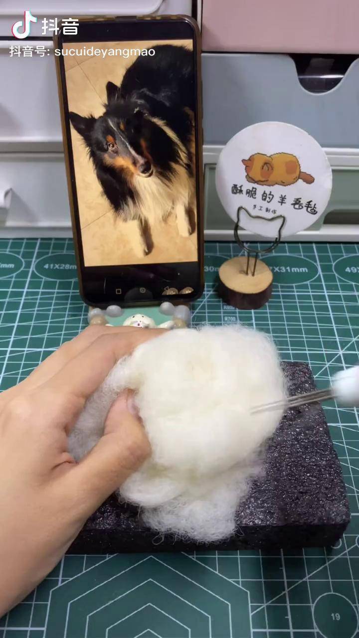 羊毛毡戳戳乐手工diy手作仿真