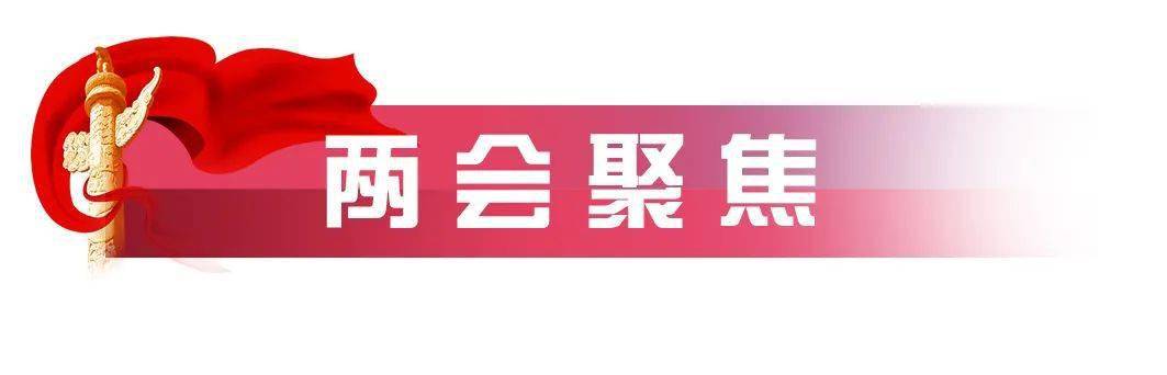 重点关注坚持两个至上全力防范化解重大安全风险代表委员热议政府工作