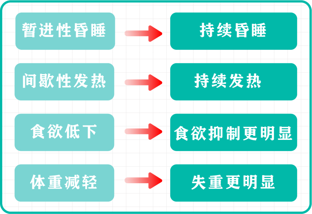 普通家长要了解什么_猫咪_症状_肠道