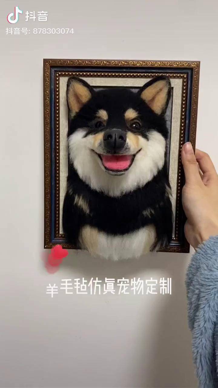 羊毛毡手工羊毛毡仿真