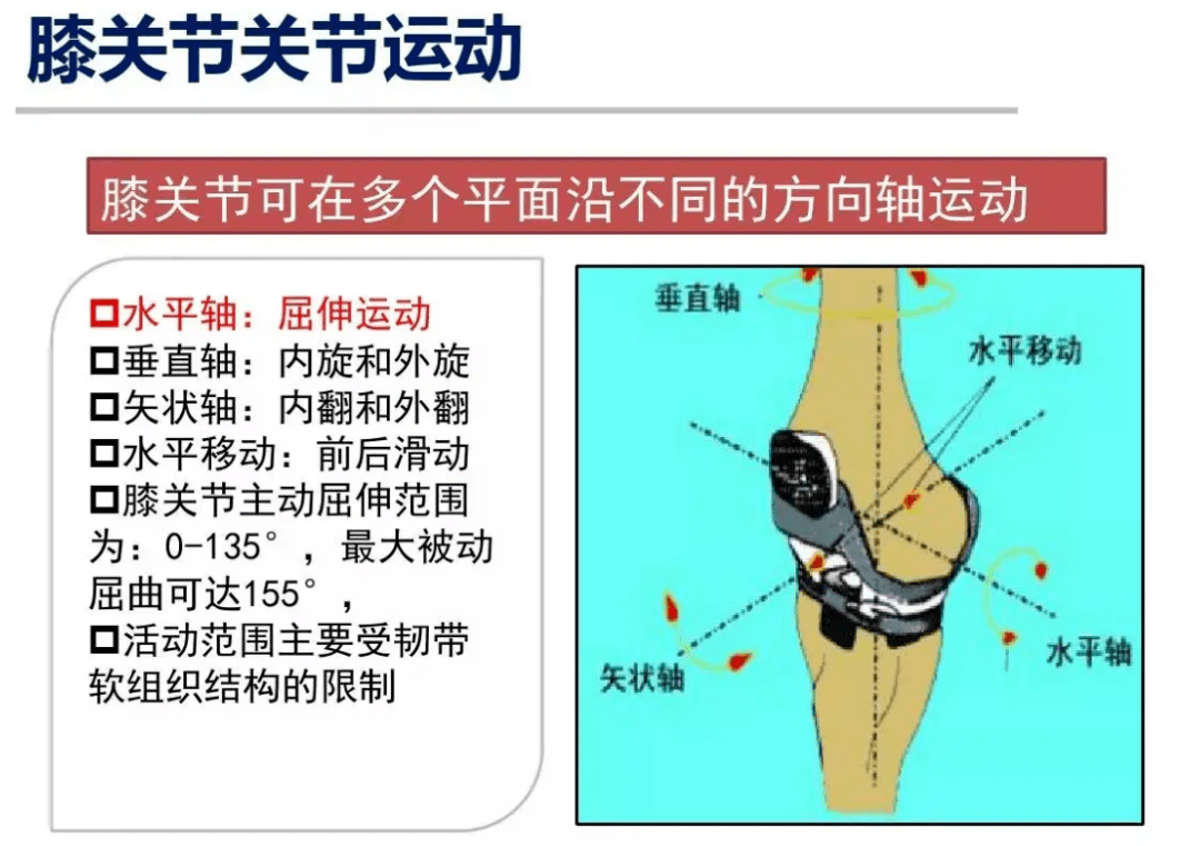 51岁钟丽缇近照曝光, 变化巨大, 网友惊呼:张伦硕究竟