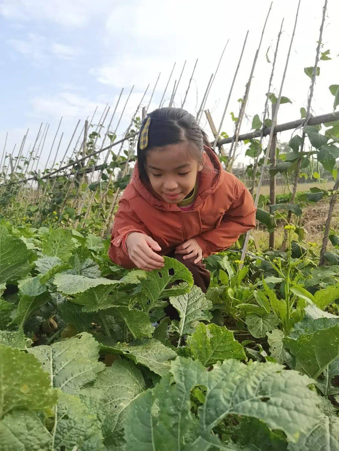 广东谢舒玥春来了指导老师刘姝君