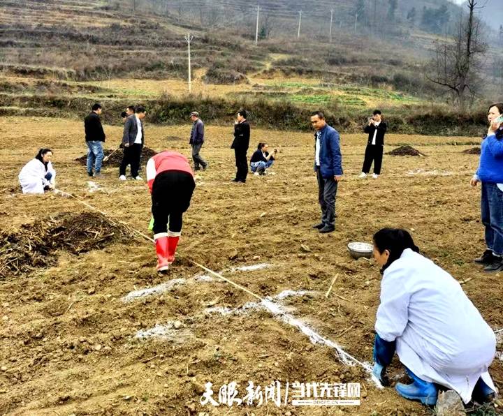 赫章县达依乡抓好人才工作助力基层党建
