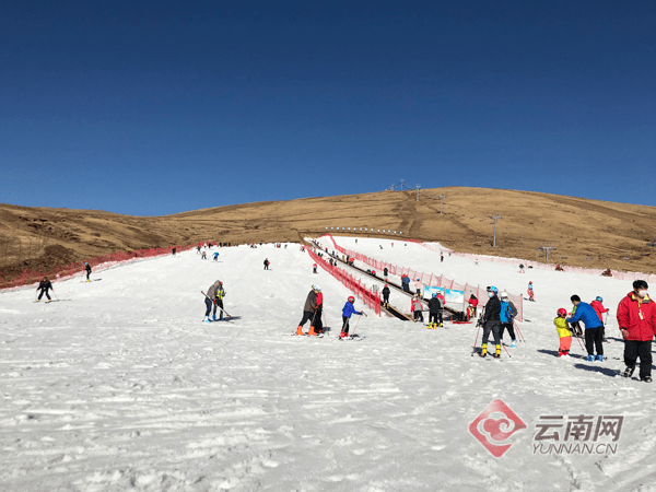 滑雪场是昆明首家室外滑雪场位于国家4a级景区轿子雪山风景区海拔约31