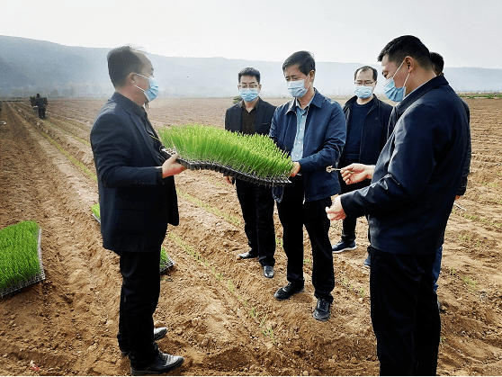 区政协主席蒲仪明深入长青镇,陈村镇,南指挥镇,城关镇检查疫情防控和