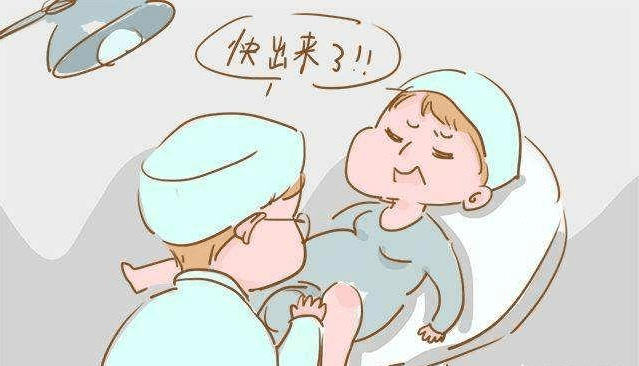 评分_宝宝_胎盘