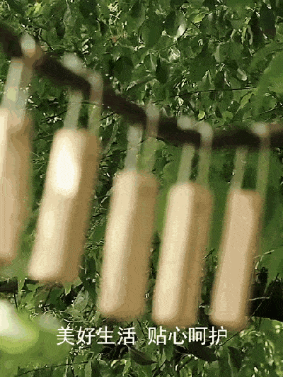 400_532竖版 竖屏gif 动态图 动图
