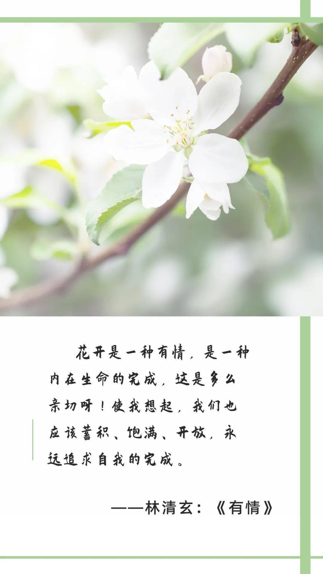 深夜悦读 | 在心中存有一朵花_文字_节目组_@qq