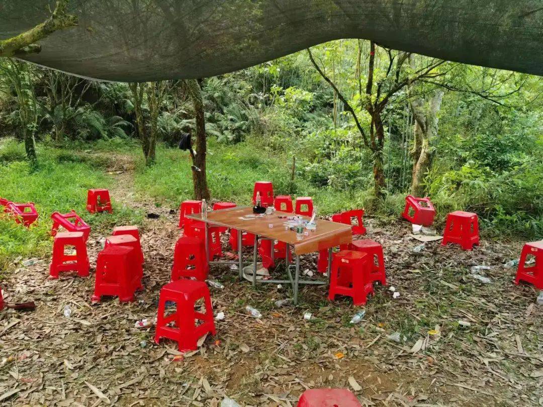 梧州这些男男女女偷偷躲入在野外山林内做这事被警方当场捉下现场图片