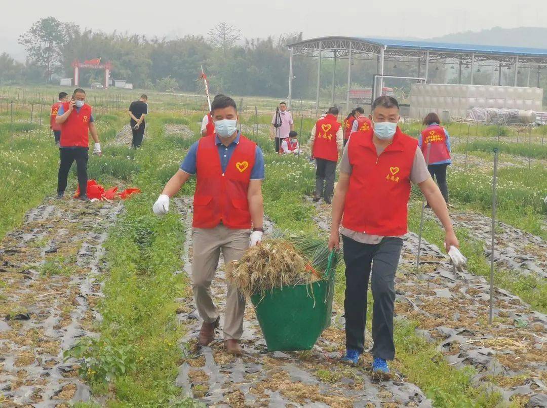 图/文:莫毅杰编辑:崔浩冉审核:田敏返回搜狐,查看更多