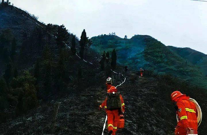 武警官兵昼夜奋战扑灭山火_彭泽军_前进指挥所_人民