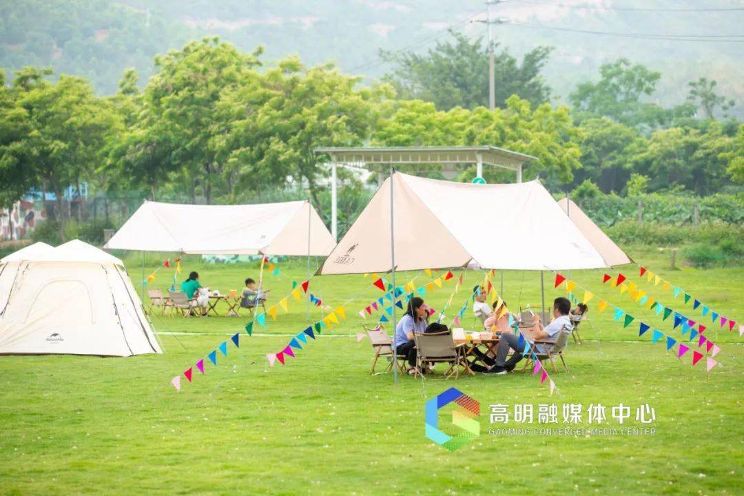 露营,乡村游,爬皂幕山…来高明旅游就选对了!_游客_风景区_市民