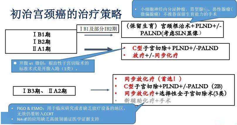 csco指南会丨安菊生教授解读《csco宫颈癌诊疗指南(2