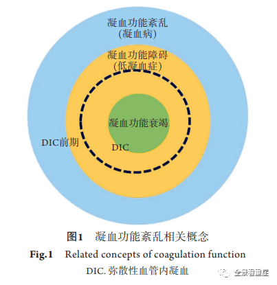 重症患者凝血功能障碍标准化评估中国专家共识(2022)_强度_意见_证据