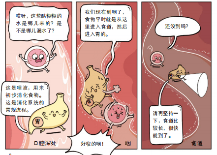 教科书般严谨全面的知识体系