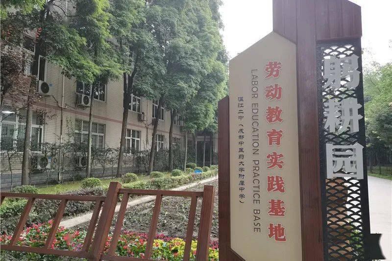 躬耕百草园传承中药文化我校校内劳动实践基地建成