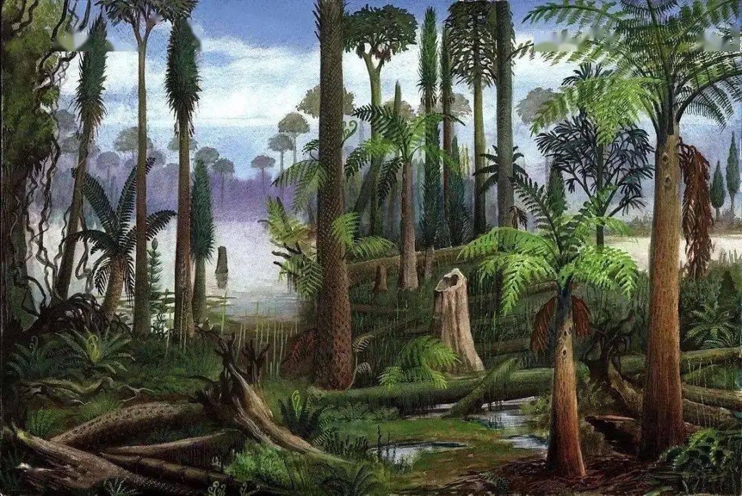 石炭纪雨林崩溃可是,植物也相当于生物圈金字塔的地基,如果它出现问题