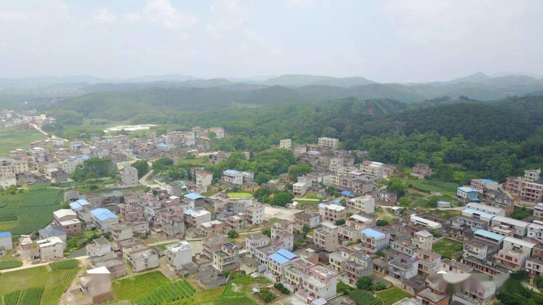 邓村邓人广西横县石塘镇邓村全景风貌