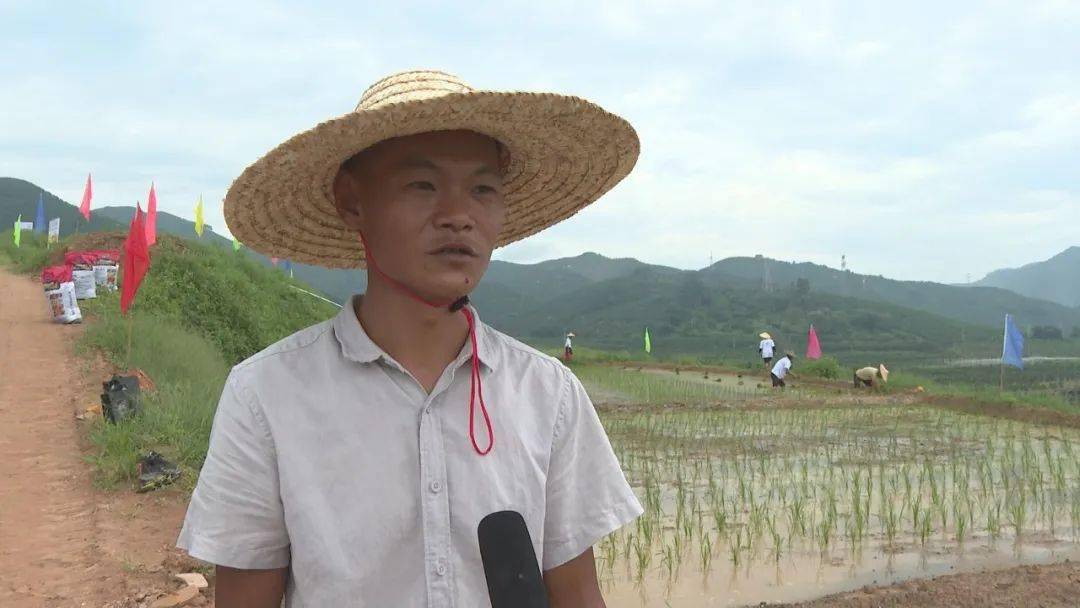 生态环境保护我在平和有亩田认领开耕暨推进花山溪流域退果还耕行动