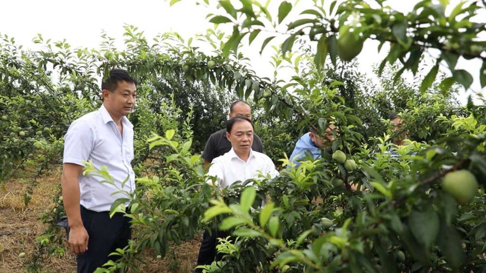宁远九嶷山下