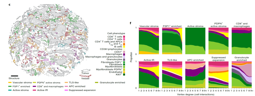 diverse ecosystem, 《自然·遗传学》:剑桥团队定义10种乳腺癌微环境结