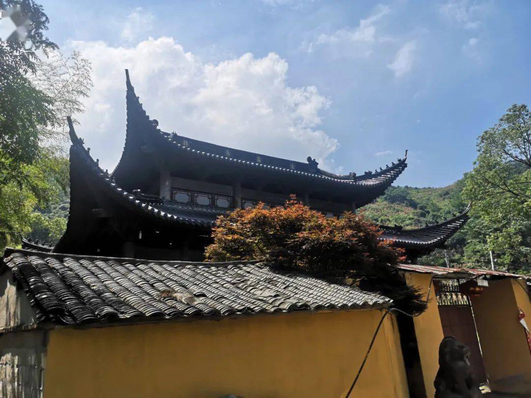 村的最东面有一座寺庙,叫延寿禅寺,永嘉县级文保单位.