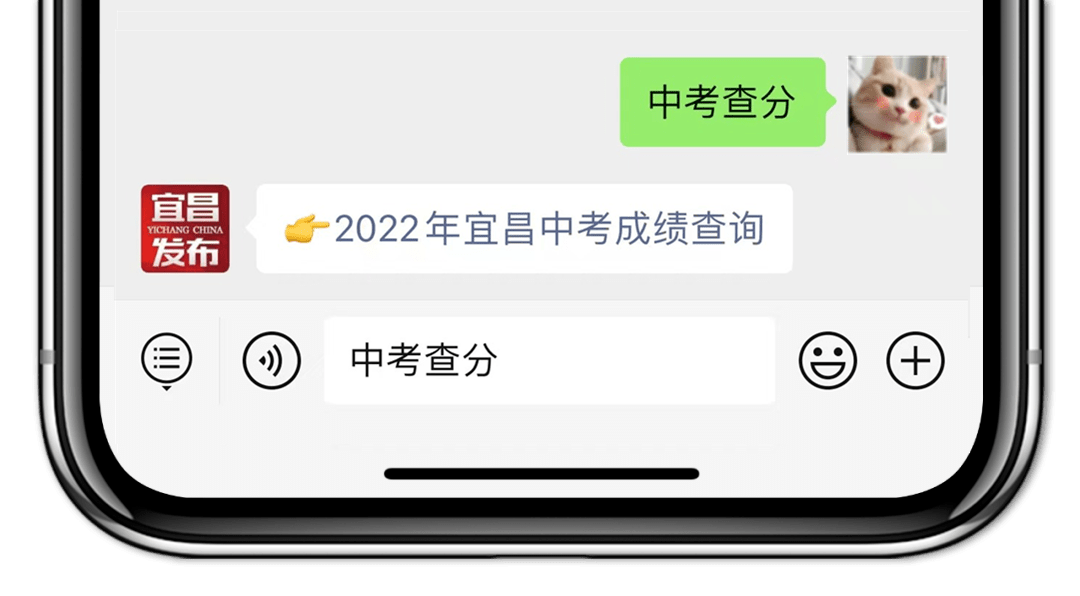 2022年宜昌市初中学业水平考试成绩一分一段统计表(城区)