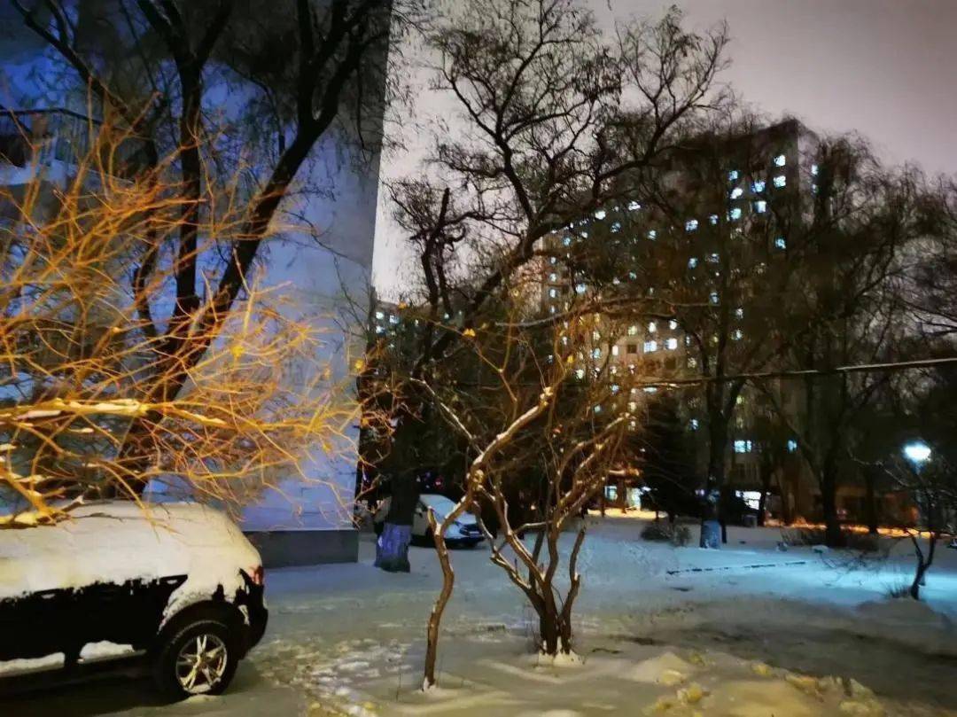 史豪杰下雪天的东林,每一天都让人觉得不平凡,好像一切都变得吸引