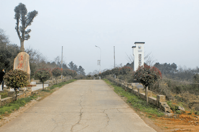 案例展播湖南省岳阳市陆城镇实干催生文明花发展铺就小康路