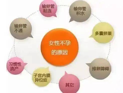 "原发性不孕;曾有过妊娠而后未避孕连续一年不孕者称为"继发性不孕"