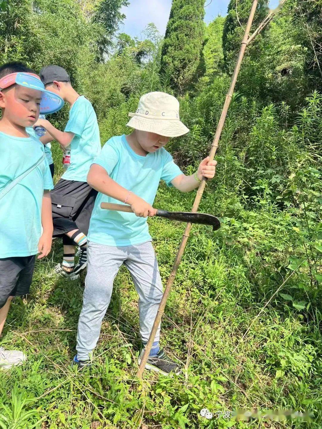 两天一夜夏令营 少年下乡记,感受田园风情,体验乡村文化_活动_劳动