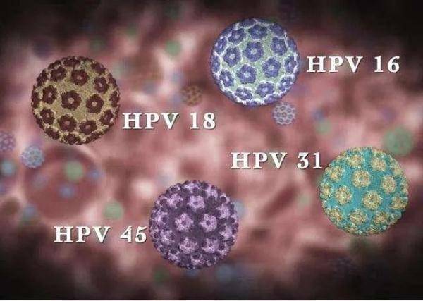 错过接种疫苗hpv筛查阳性时坐等转阴靠谱吗