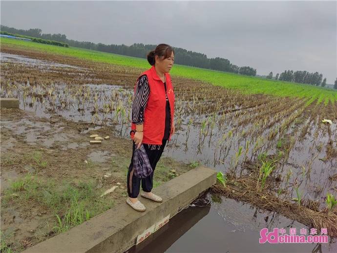 汶上县白石镇红马甲守护群众度汛