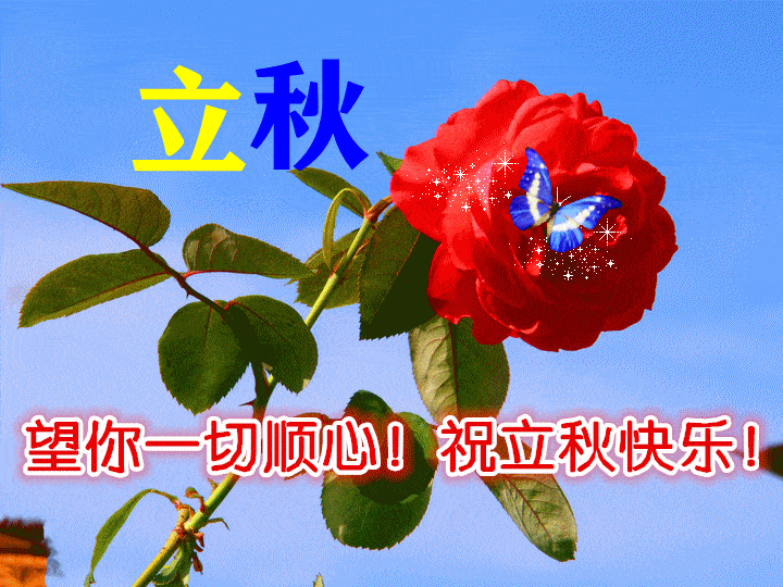 立秋最新早上好表情问候大全,一心一意的问候,送给我最在乎的人_祝福