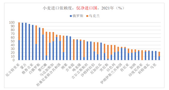 俄乌冲突对全球粮食安全的影响与应对措施_小麦_出口_进口