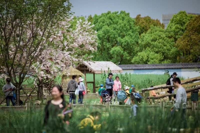 “不远足，游乡村”，上海夏秋季乡游精品线路推介活动举办