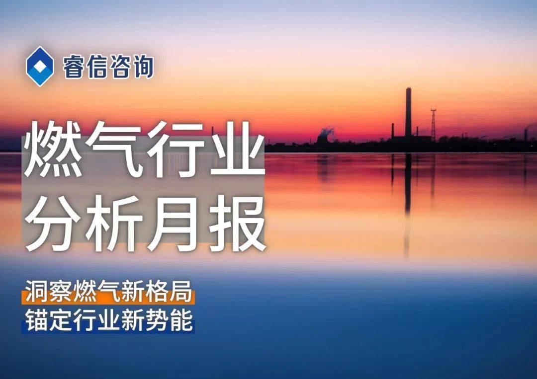 洞察报告 睿信咨询 燃气行业分析月报 2022年8月_供热_发展_建设