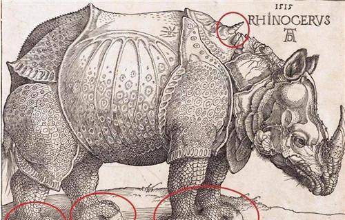 丢勒凭想象画了幅《犀牛,却骗了欧洲人300年,至今仍深信不疑_绘画