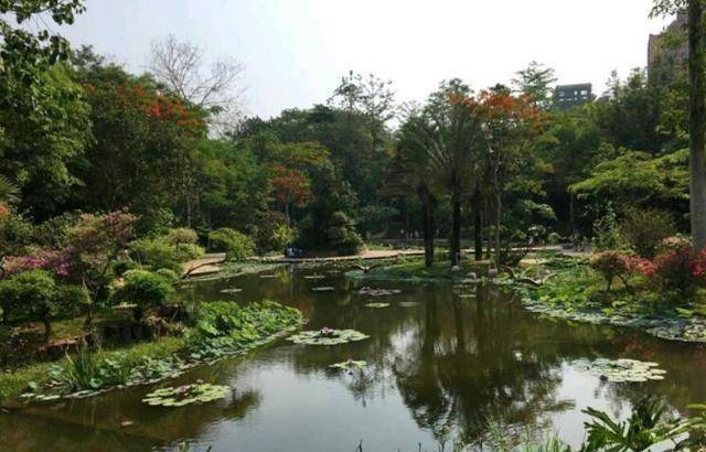 云南又一公园走红：曾是傣王的御花园，如今已是当地知名旅行地