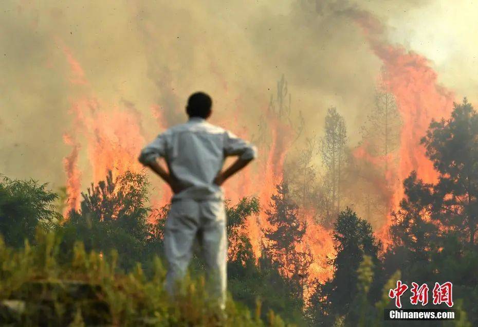 愿平安！重庆、四川、贵州多地突发山火