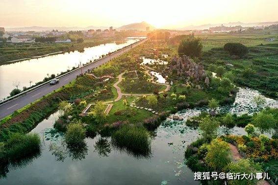 在花海书香邂逅“诗和远方”——沂水县黄山铺镇市级美丽乡村示范片区建设掠影